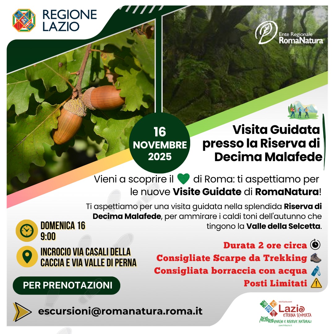 Visita Naturalistica Domenica 16 Novembre – Riserva Naturale Decima Malafede