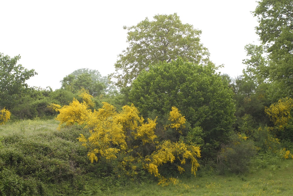 Vivere la natura significa prendersene cura