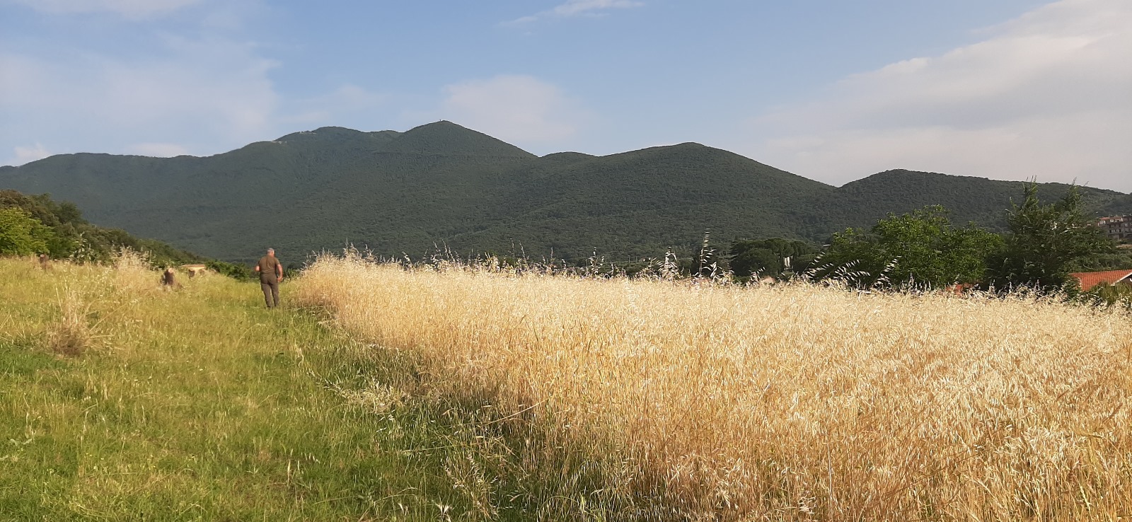 Dalla sperimentazione dello SCA una visione lungimirante per le aree contigue del Parco dei Monti Lucretili
