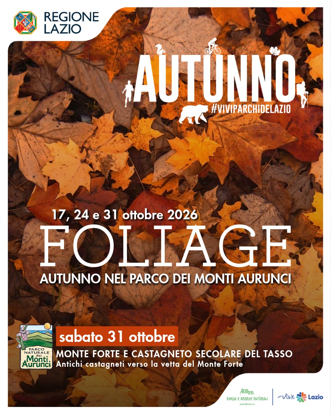 Foliage nel Parco dei Monti Aurunci: escursione a Monte Forte e al secolare Castagneto del Tasso