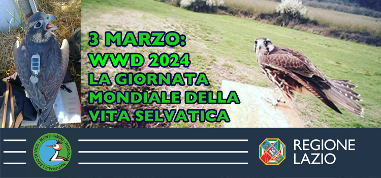 GIORNATA MONDIALE DELLA VITA SELVATICA 2024