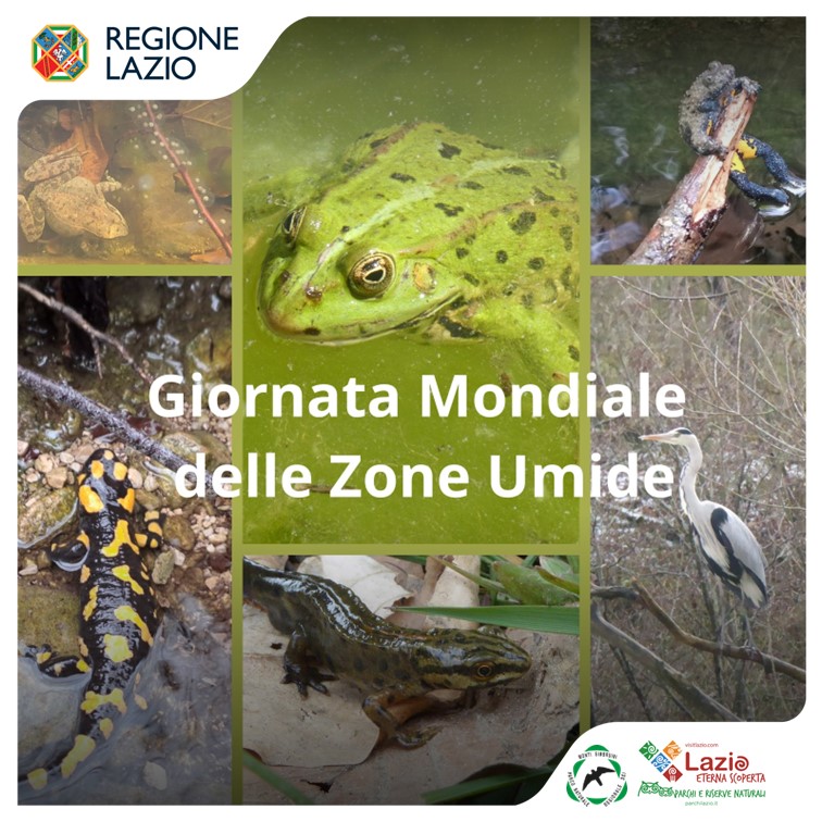 Giornata Mondiale delle Zone Umide (World Wetlands Day)