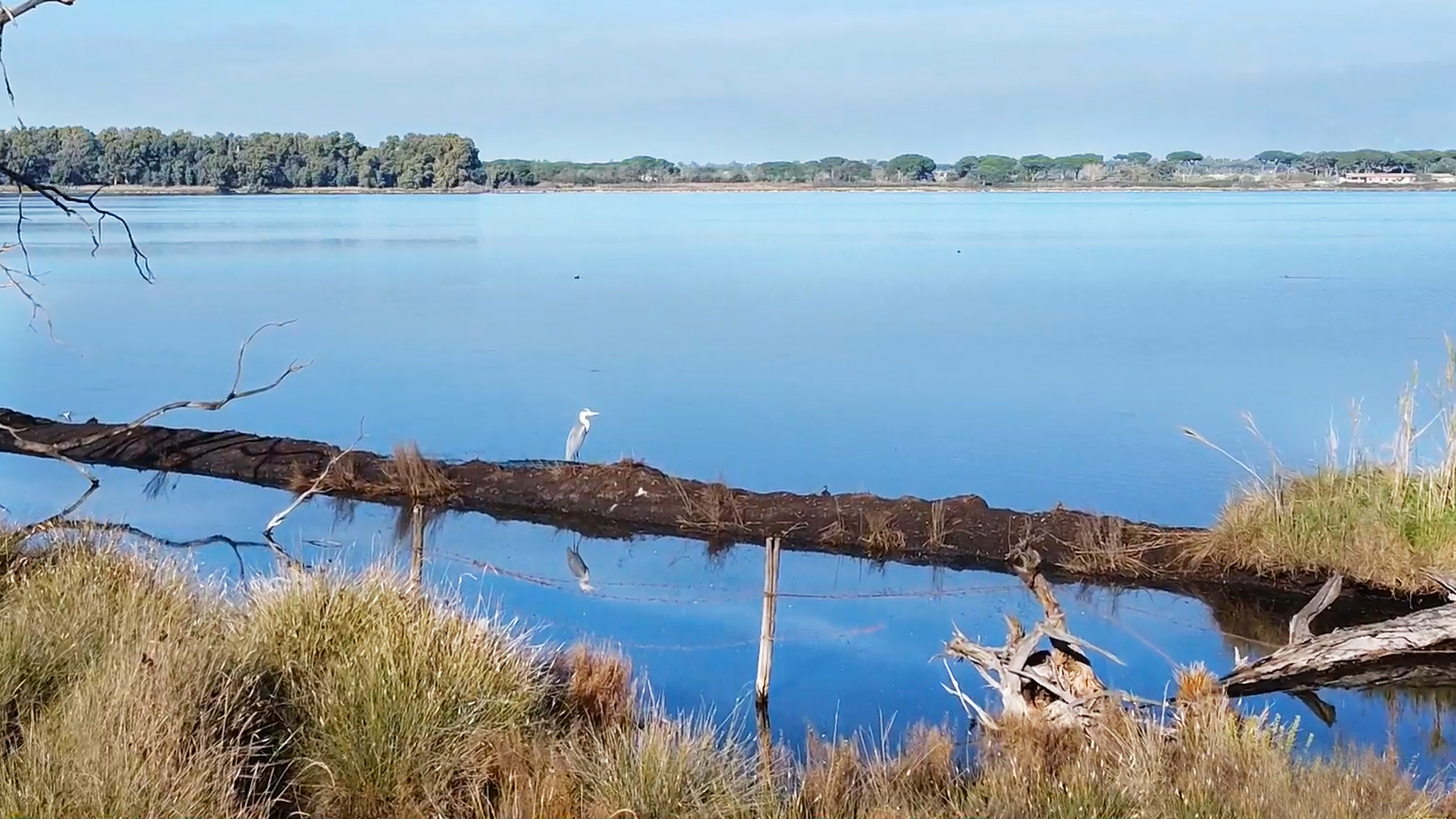 In viaggio lungo la Rete Natura 2000: scopriamo più a fondo le Zone Speciali di Conservazione del Circeo