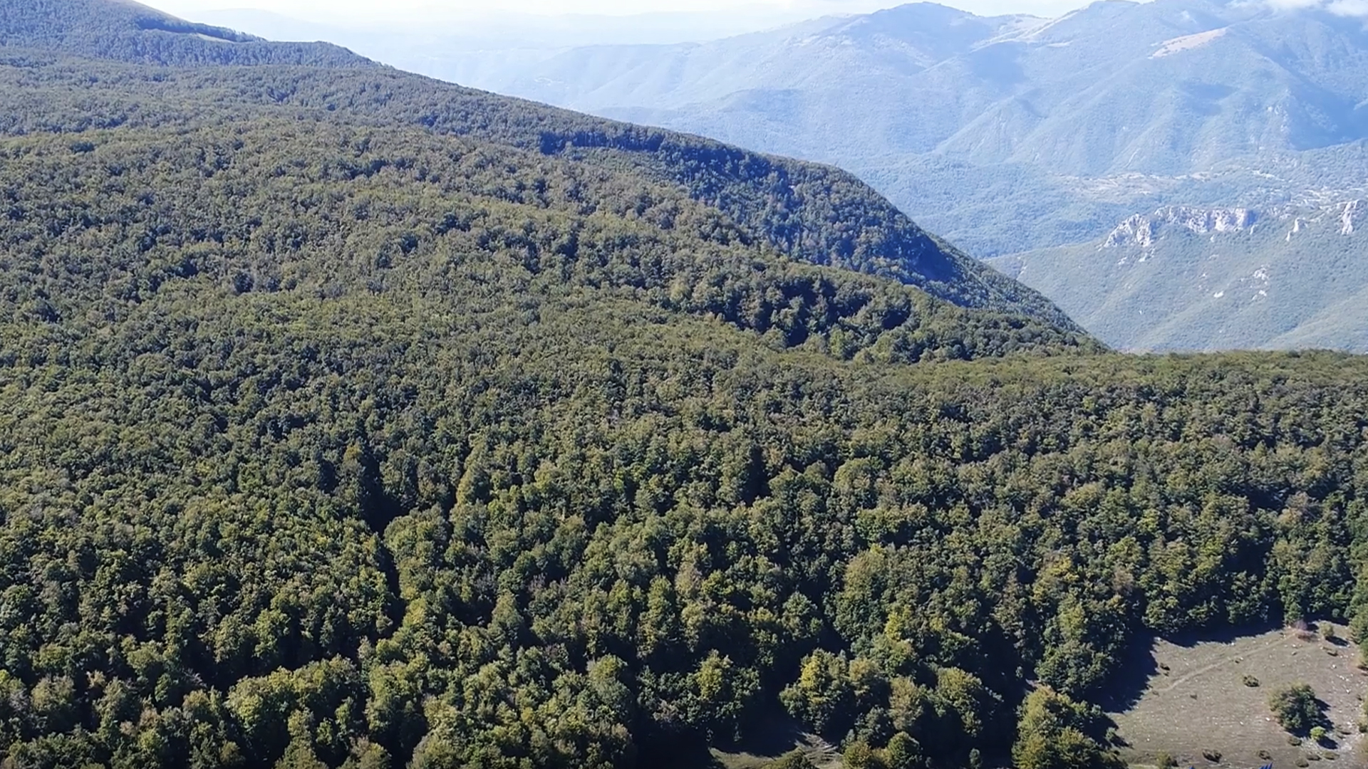 Il nostro viaggio lungo la Rete Natura 2000 - La ZSC "Monte Cagno e Colle Pratoguerra"